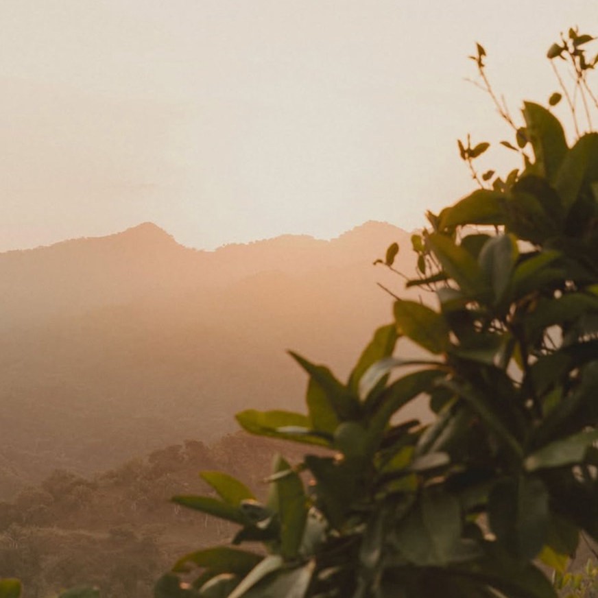 Vous organisez des retraites de yoga