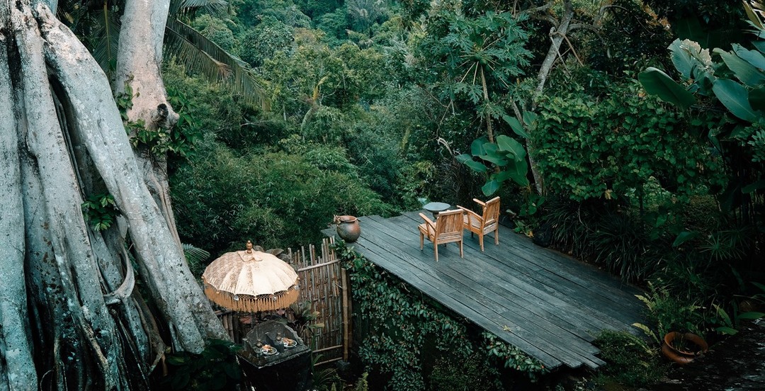 Jungle retreat setting