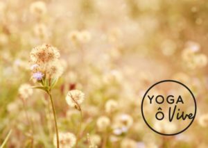 retraite yoga meditation Quebec 10 juin 2017