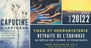 retraite_yoga_saint-antoine-de-tilly_mars_2020_vignette