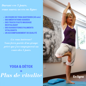 retraite_yoga_en_ligne_continu_2020_details_retraite